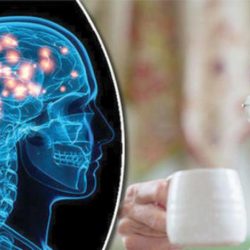 مكملات «السيلينيوم-الحبوب واللحوم والمكسرات» تعزز ذاكرة المسنين
