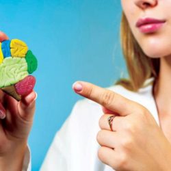 خريطة رباعية الأبعاد لحرارة دماغ الإنسان