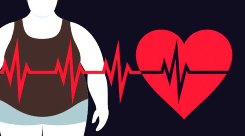 ما علاقة نقص البروتين في الوجبات بالسمنة؟ والفطر ينتقل من الطب الصيني إلى رقائق الكمبيوتر
