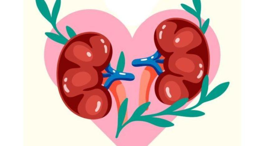 7 أطعمة ممنوعة لمرضى الكلى والسكري
