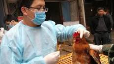 أحدث الأخبار الصحية من تحور إنفلونزا الطيور الى صحة اطفالك من تيك توك