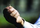 صغار النحل تتعلم بمساعدة رفاقها الكبار والعلماء يسعون لتعزيز النوم العميق ووقف الخرف