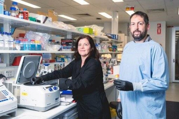 لأول مرة... اكتشاف أسباب غير جينية أو بيئية للسرطان
