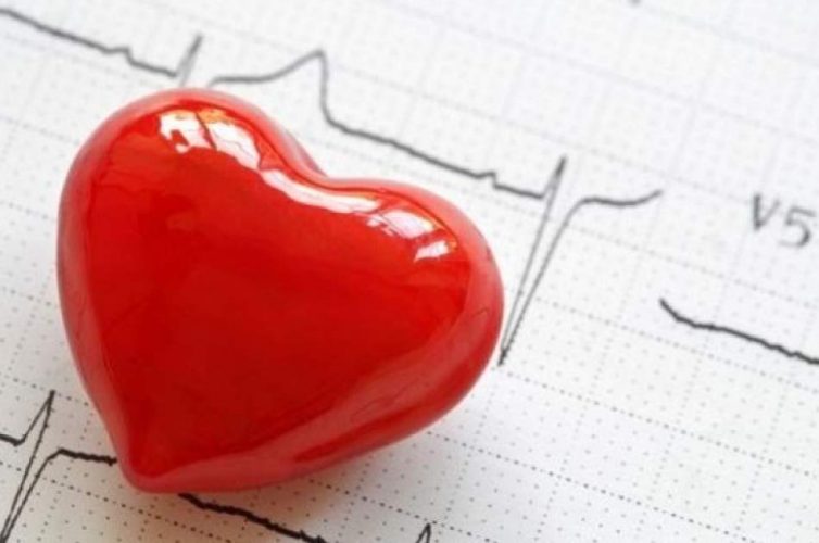 العلماء يبتكرون جنينًا بشريًا بنبضات قلبه الخاصه تكشف أسرار الأسابيع الأولى